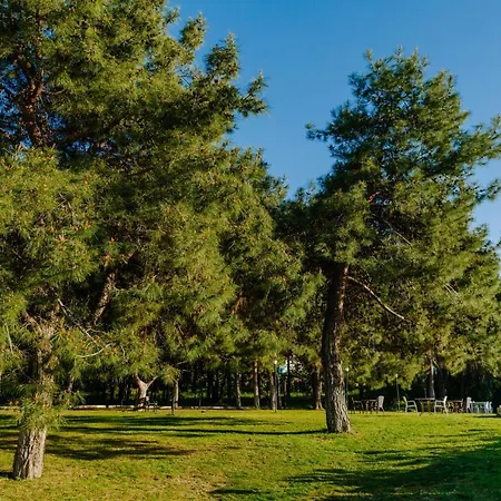 Uptown Bueyuek Anadolu Отель 4*